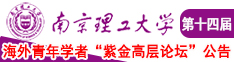 黄片猛插南京理工大学第十四届海外青年学者紫金论坛诚邀海内外英才！